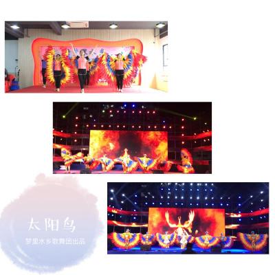 創(chuàng)意節(jié)目；開場舞蹈；高端大氣；太陽鳥