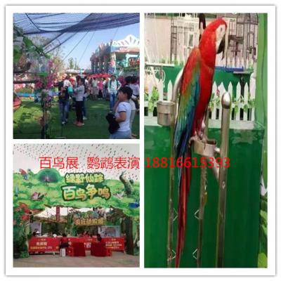 上海及周邊皇家馬戲團\百鳥展等，歡迎來電咨詢。